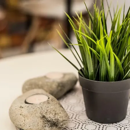 Pop Arts Appartement *